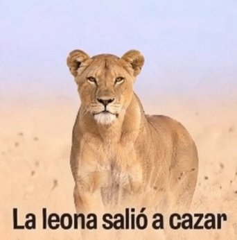 darkness_presen's tweet photo. Para los 10/10: xd https://t.co/5FJI1DhPlx