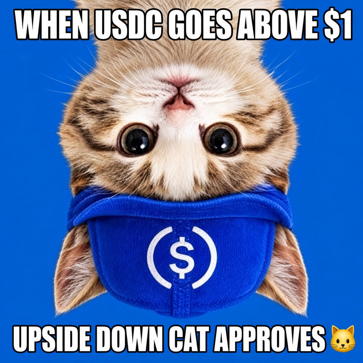 HardiCrypt's tweet photo. Hey @jerallaire , wanna have some fun making USDC worth more than $1?
You can do it with this upside down cat https://t.co/oQtGClNpb0