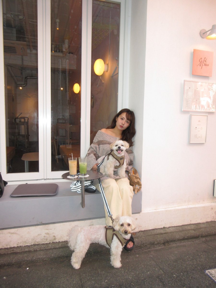 yamada7dayo's tweet photo. 愛嬌100点の我が家のイッヌ🐕💕 https://t.co/GPaQ8UQa4F