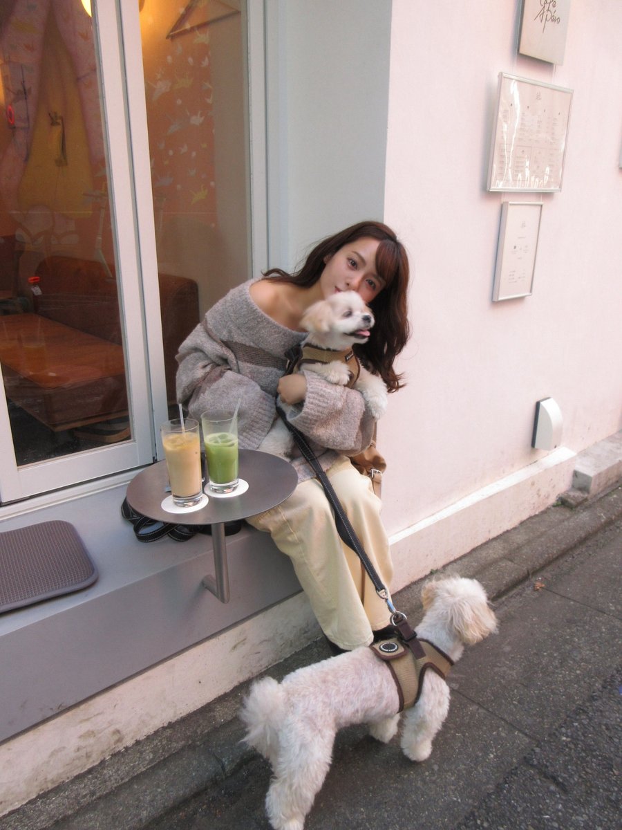 yamada7dayo's tweet photo. 愛嬌100点の我が家のイッヌ🐕💕 https://t.co/GPaQ8UQa4F