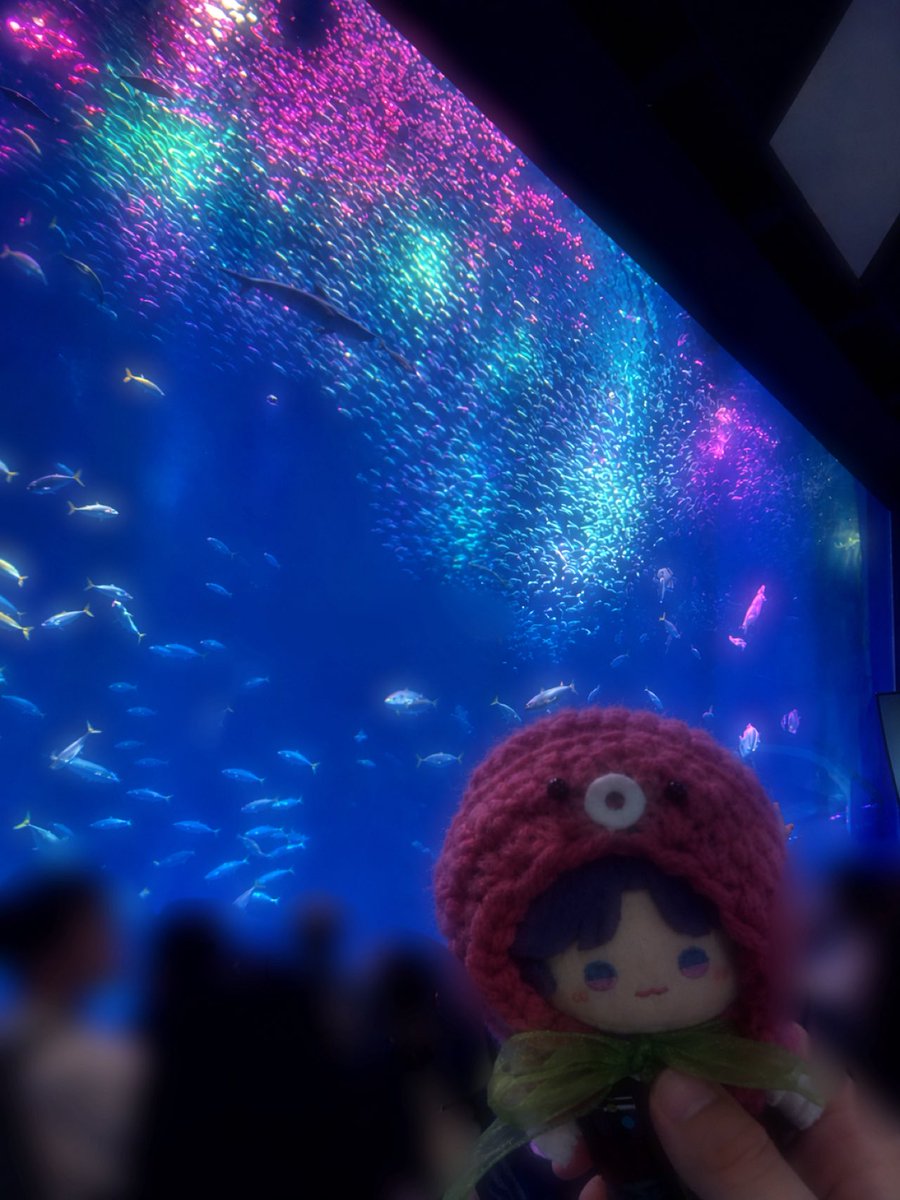 Jasmine_Citron_'s tweet photo. ホムラと水族館に行ったよ🐬🐟🫧
大水槽綺麗だった✨️
イワシの群れのライトアップのイベントやってて色んな色で綺麗だったよ🐟🫧
楽しかったね💕
近くで海鮮とかも食べたけど、大雨すぎて写真撮れず😭
またリベンジ行こ🔥
(1枚目のぬいちゃんの鮮明化のみAIに頼みました) https://t.co/USR5pBWsK0