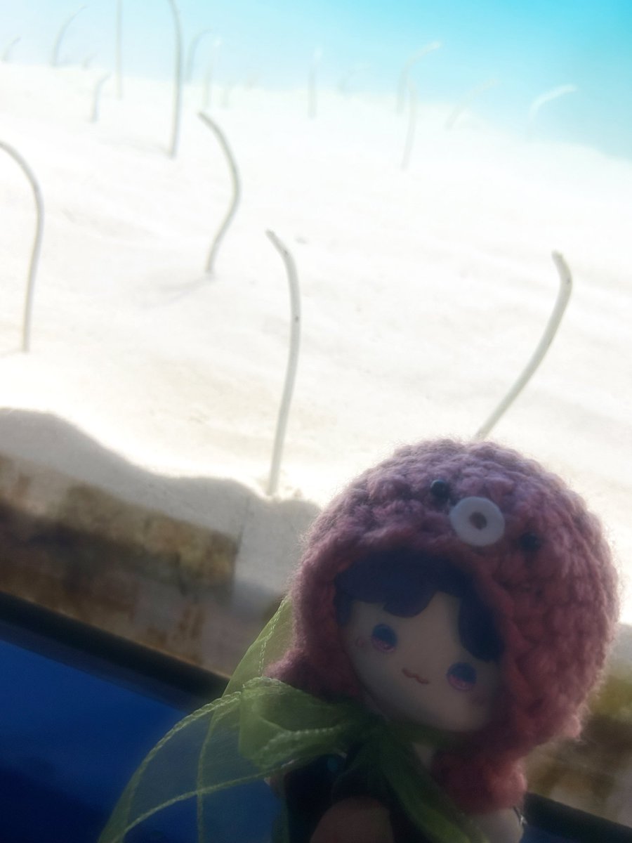 Jasmine_Citron_'s tweet photo. ホムラと水族館に行ったよ🐬🐟🫧
大水槽綺麗だった✨️
イワシの群れのライトアップのイベントやってて色んな色で綺麗だったよ🐟🫧
楽しかったね💕
近くで海鮮とかも食べたけど、大雨すぎて写真撮れず😭
またリベンジ行こ🔥
(1枚目のぬいちゃんの鮮明化のみAIに頼みました) https://t.co/USR5pBWsK0