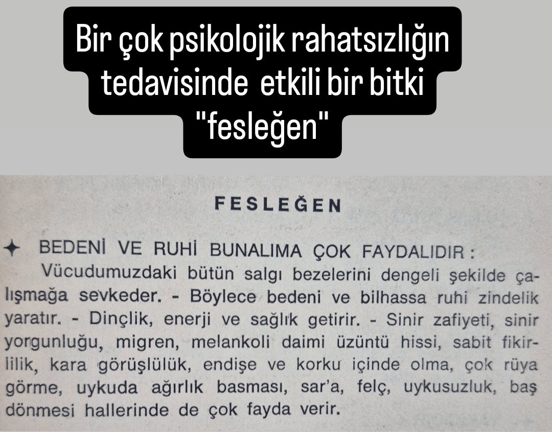 IncesoyYahya's tweet photo. Yeşil halde salata ve yemeklerin üzerine konarak yenir. Toz halde baharat olarak sebze çorbası, yahni, kızartma ve ızgaralara,etlere, balığa konur.Bir  bardak sıcak suya iki kahve kaşığı kuru fesleğen konup, on dakika dinlenmeden sonra süzülerek çay gibi günde iki üç bardak içilir. Hamileler kullanamaz.