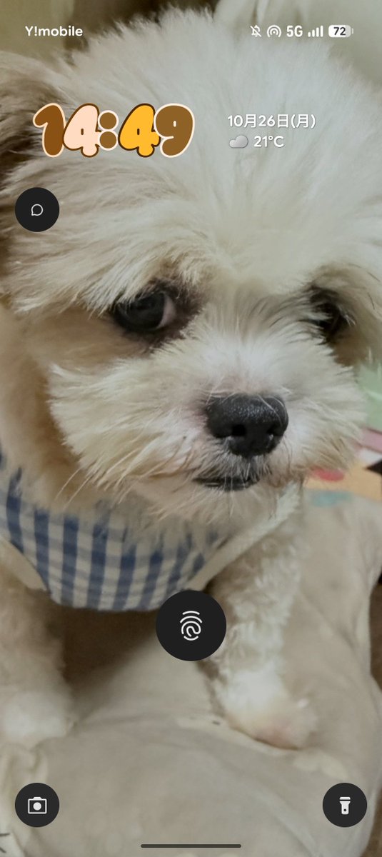 rinne_prsk's tweet photo. @AddUrET52c70015 https://t.co/KxvhbDs2ax