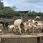 Photo by Novine Farm 🧑‍🌾 (@Novine_Farm)