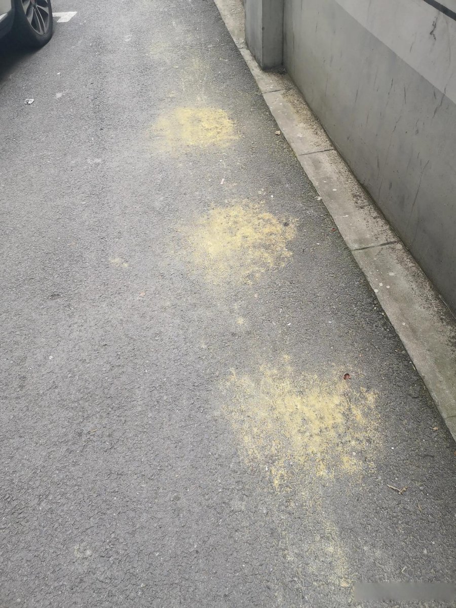 mitsu02083116's tweet photo. [焚路]が進む新しい道、[挖]掘られた地肌に思いを馳せる https://t.co/RMZCVTpfTn