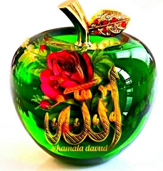 M_J_bugti tweet picture