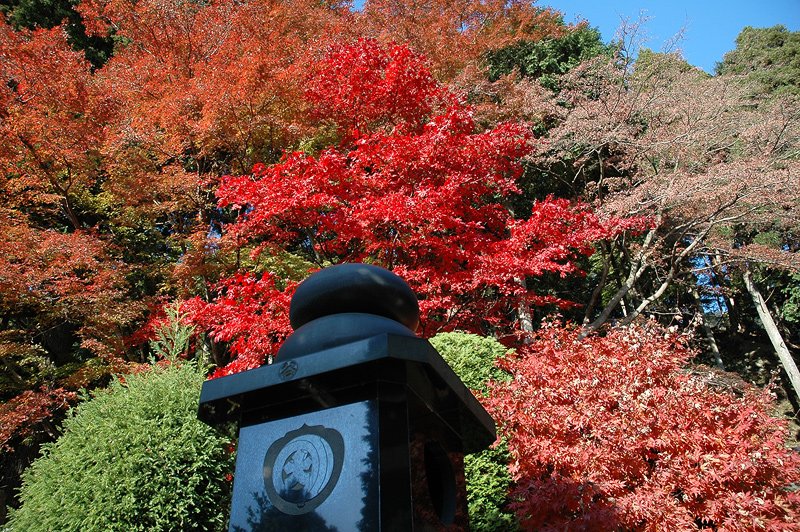 snk_1989_db's tweet photo. 急漳彩附适、今日の天気も最適ですね！ https://t.co/b6xEg9PmN5