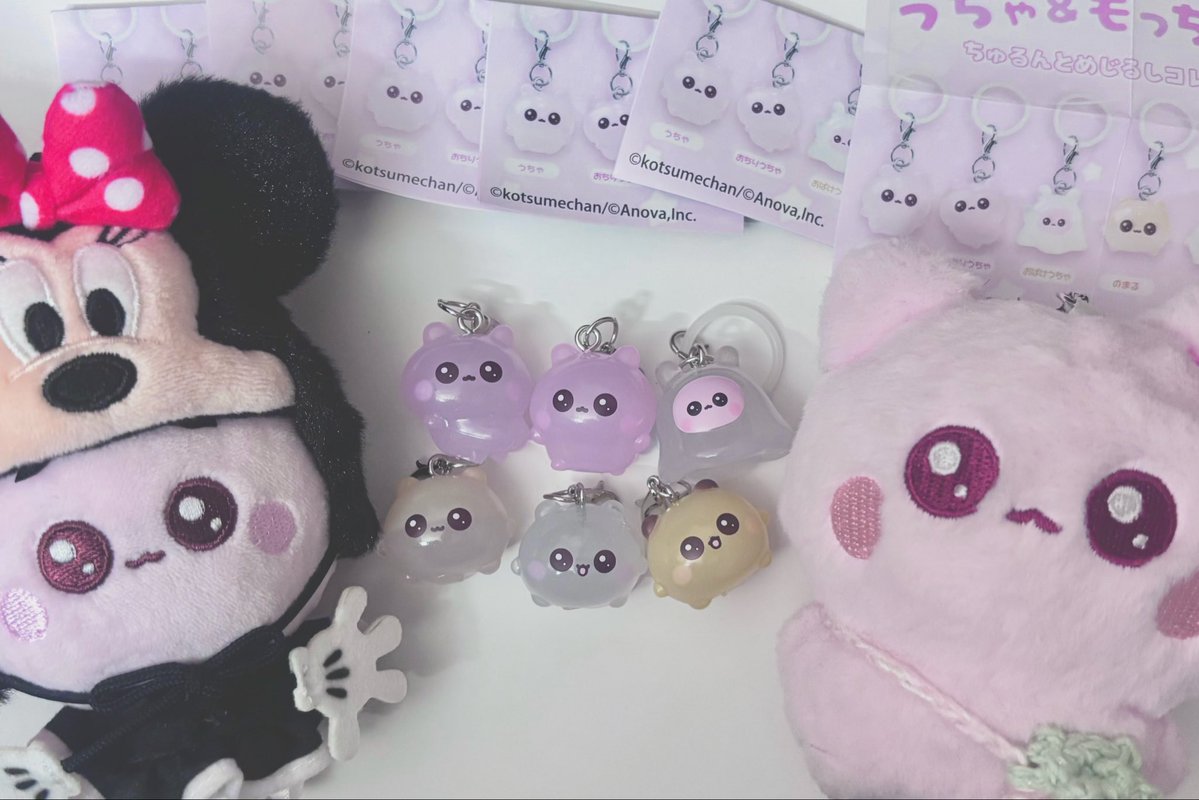 ume_day0's tweet photo. ずーっと待ってたうちゃはむめじるしが届いた!!
ぜんぶぜんぶかわいいの❕🤍

お店ではまだ見かけたことないからお店でも出会いたい、、( ¡ - ¡ ) https://t.co/Ax8Im42Cb5
