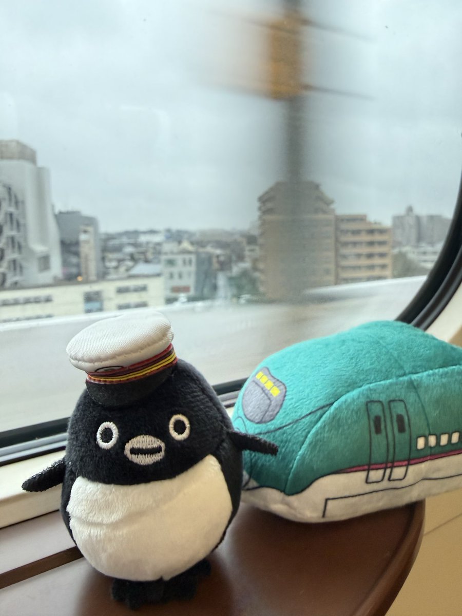 suippi16002's tweet photo. 仙台行くよ〜
またうっかり仲間が増えてる🐧
#Suicaのペンギン
#ペン活
#エキタグ https://t.co/fTxIV0J67R
