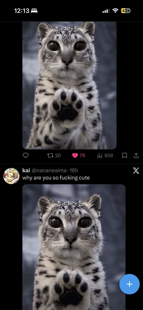 Ltrl_Lgnd's tweet photo. I built this algorithm cat by cat https://t.co/RpsnAYTexm