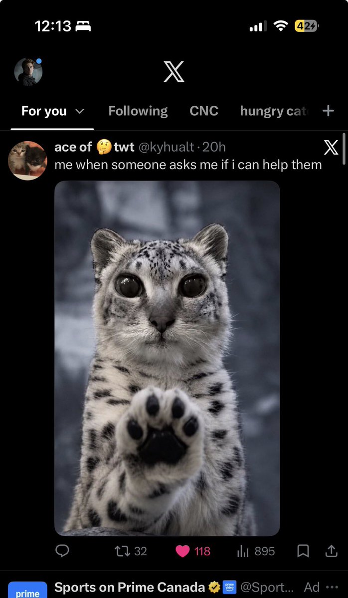 Ltrl_Lgnd's tweet photo. I built this algorithm cat by cat https://t.co/RpsnAYTexm