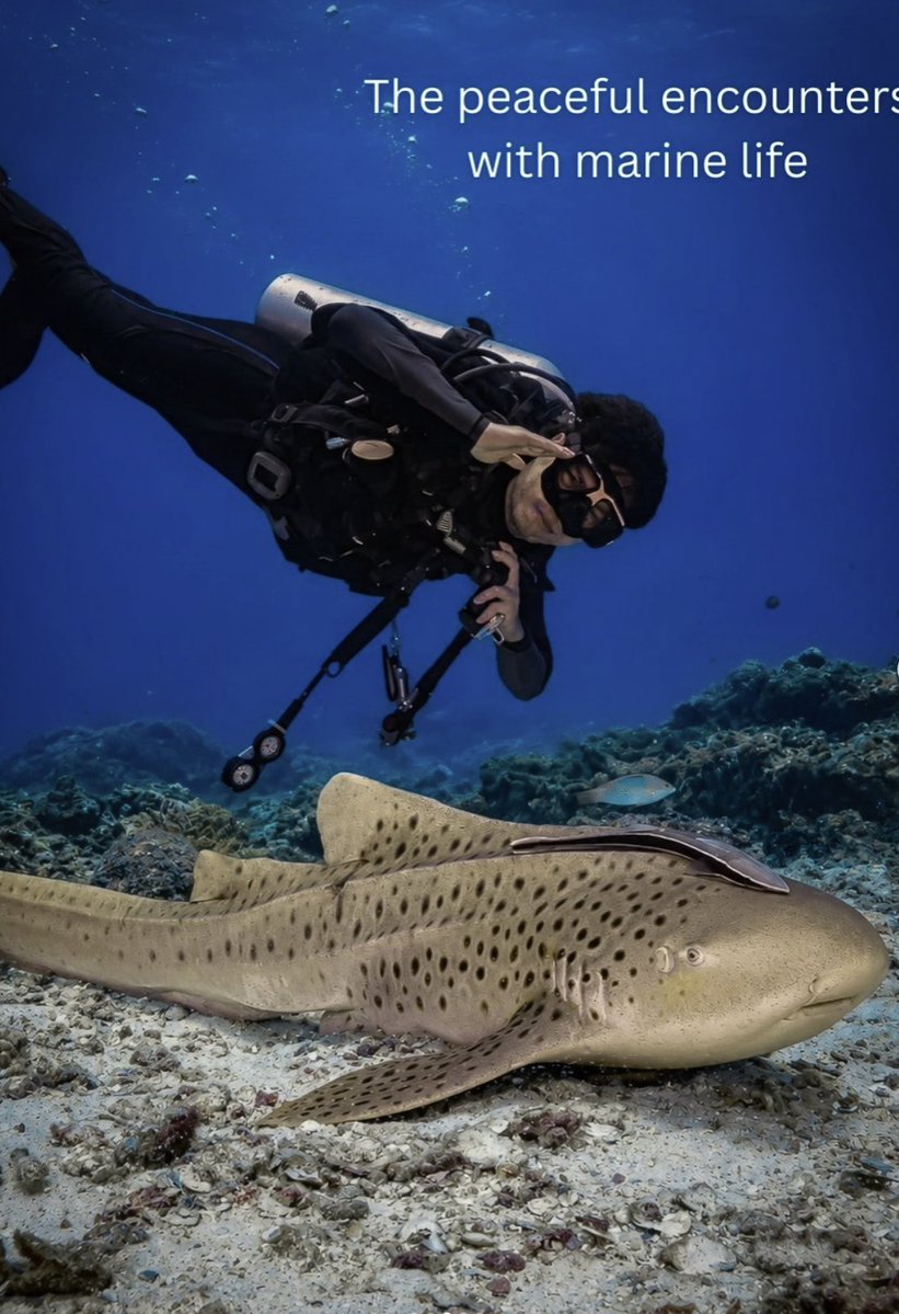 diveSSI's tweet photo. The ocean holds endless worlds to explore. 🌊 Which would you choose for your next dive?

🐌 Macro critters
🪸 Vibrant coral reefs
🦈 Peaceful marine life
🐋 Ocean giants

Tell us your pick below! 👇

#WeAreSSI #ScubaDiving #OceanExploration https://t.co/Rt3ITabPT8