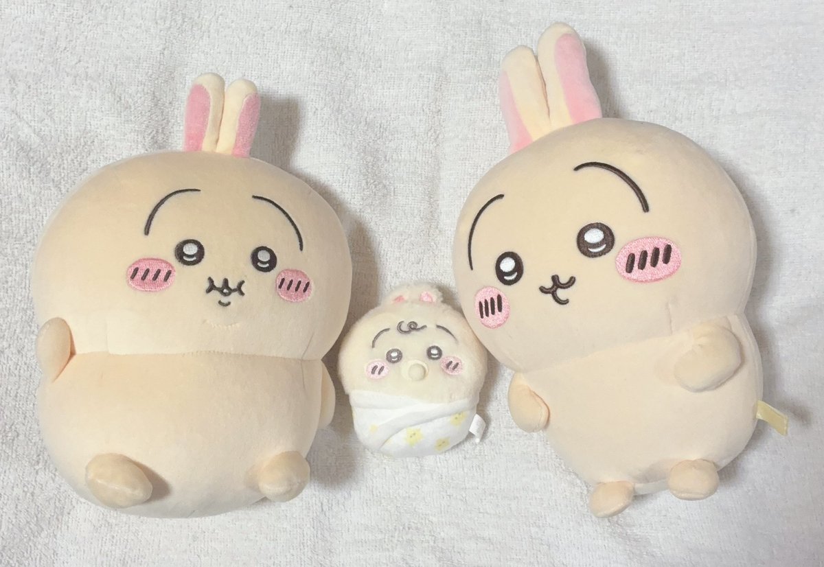 usagi_love04's tweet photo. 愛おしい https://t.co/rQX8U6vnaN