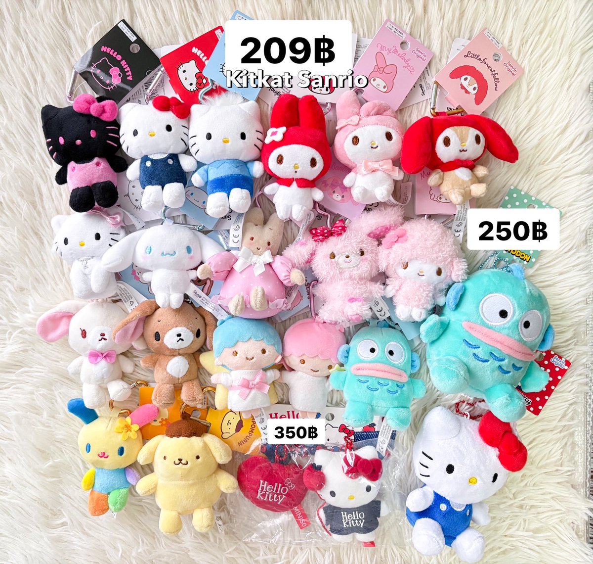 Kitkattshop's tweet photo. 🌷 สินค้า sanrio พร้อมส่ง 🇯🇵

สินค้าซานริโอ้น่ารักๆ🩷

กิ๊บรุ่นธรรมดา กำมะหยี่ มินิ โบว์ ปากเป็ด
กำมะหยี่ เพชร จัมโบ้  พวงกุญแจ

💌 รีโพสค่าส่ง 29 บาท 💌
       
ผ่อนได้ นัดรับได้ แมสได้ 🫧🍥

#กิ๊บsanrio  #ตลาดนัดซานริโอ้ #รับหิ้วญี่ปุ่น #ตลาดนัดsanrio #กิ๊บซานริโอ้ https://t.co/qTJQUuRq5K
