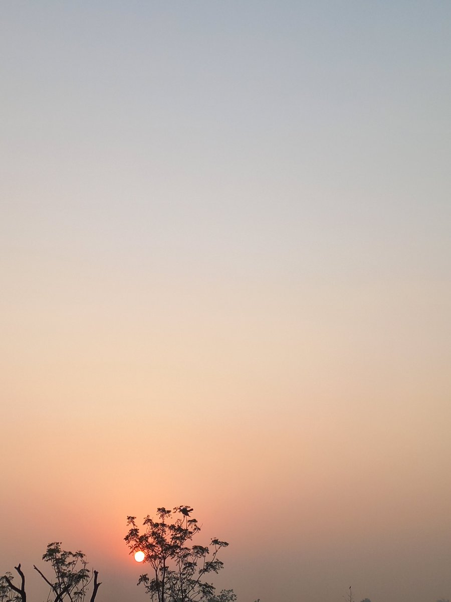 inkandhindi's tweet photo. खूबसूरत से भी खूबसूरत होता है मौसमों का बदलना🍁🍂

#ink https://t.co/bWjKuAVSbc