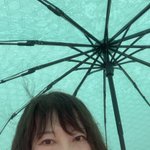 Photo by やすこーん🌽8/24「ひとりで楽しむ鉄道旅 おいしい！観光列車篇」発売！旅行読売「猫に駅弁」連載中 (@yascorn)