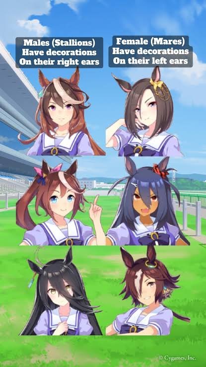 ReikoProject's tweet photo. @wachindepersona @EnjoyerComeback como tal casi todas las chicas del juego son machos en la vida real, hay unas cuantas exepciones https://t.co/anS4kXGeTZ