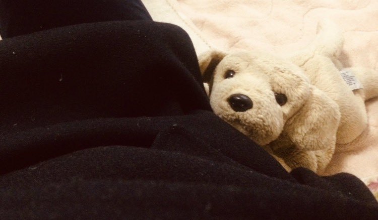 acutemydog's tweet photo. いぬが黒い服着て座ってる僕の横からぺたぺたしながらこっちを見てくる  撫で撫で待ち？
. https://t.co/CTTcFoL44O