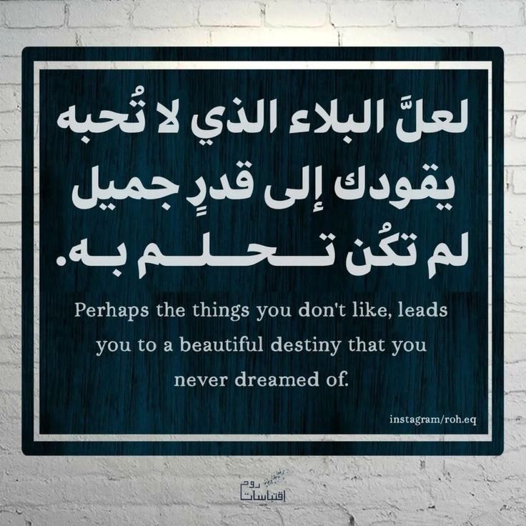 MEvmbt's tweet photo. https://t.co/blf5N1nIya