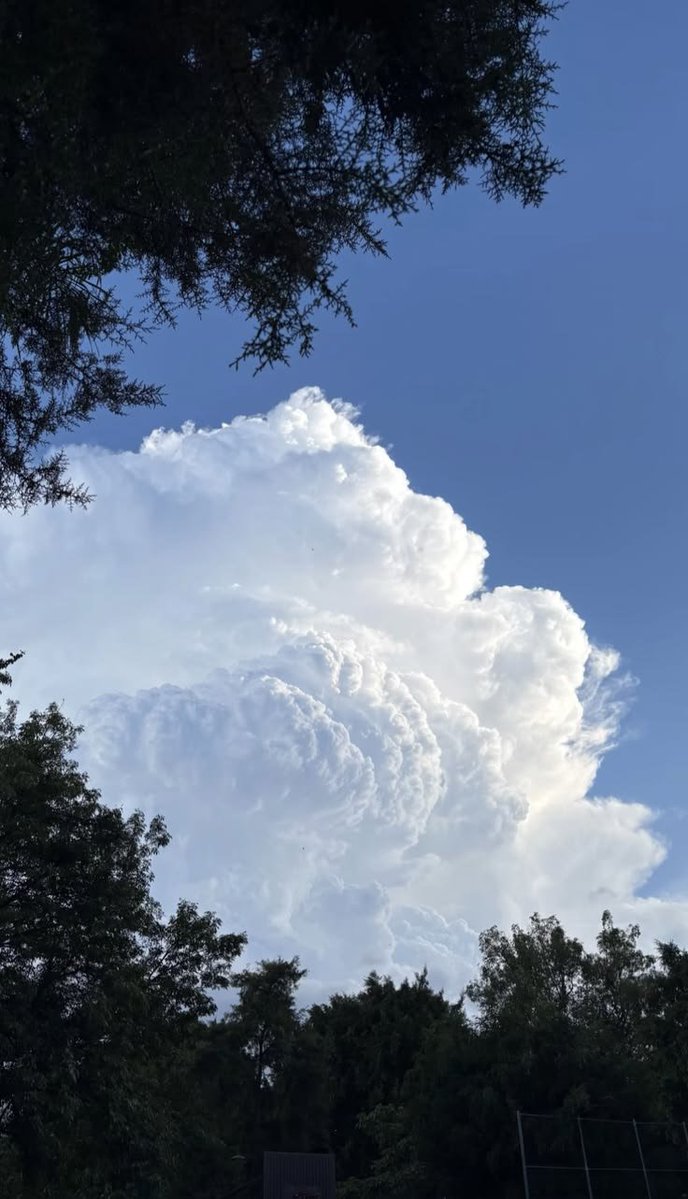 natureaest's tweet photo. Lost in the cloud <3 https://t.co/i4fzjZcYf8