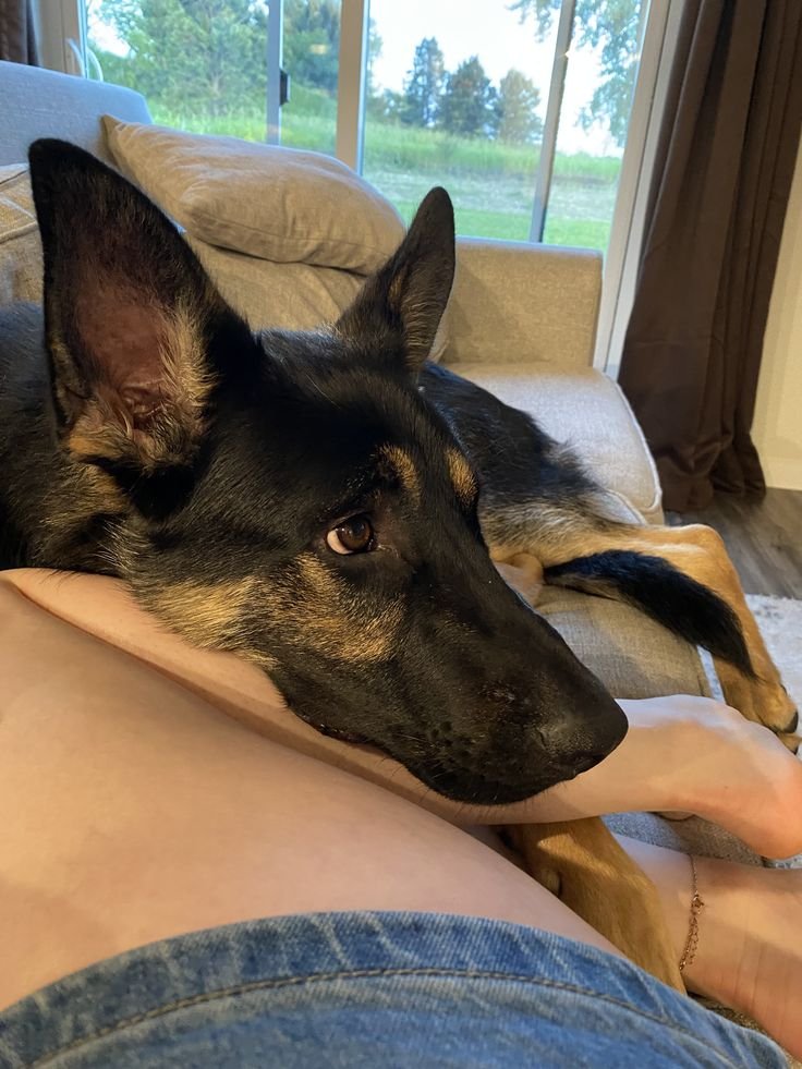 athenavoit's tweet photo. 📍𝗟𝘂𝗺𝗶𝗻𝗮𝗿𝗮 𝗖𝗼-𝗥𝗲𝘀𝗶𝗱𝗲𝗻𝗰𝘆 𝗨𝗻𝗶𝘁 𝟭𝟴
  | 13.40 WIB

Lazy Monday with them. https://t.co/wb7MoMj0pV