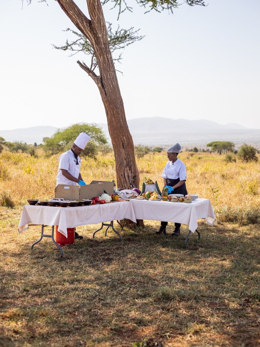 xtreme_republic's tweet photo. Breakfast with a view. 🌅

Crisp linens, warm tea, and a table set beneath an acacia at Soroi Lion's Bluff, savannah stretching out in every direction.
This is what a morning looks like when you travel with Xtreme Republic.

📩 Book your bush experience 
https://t.co/AcpNOGR9bZ https://t.co/roplQEXDqE