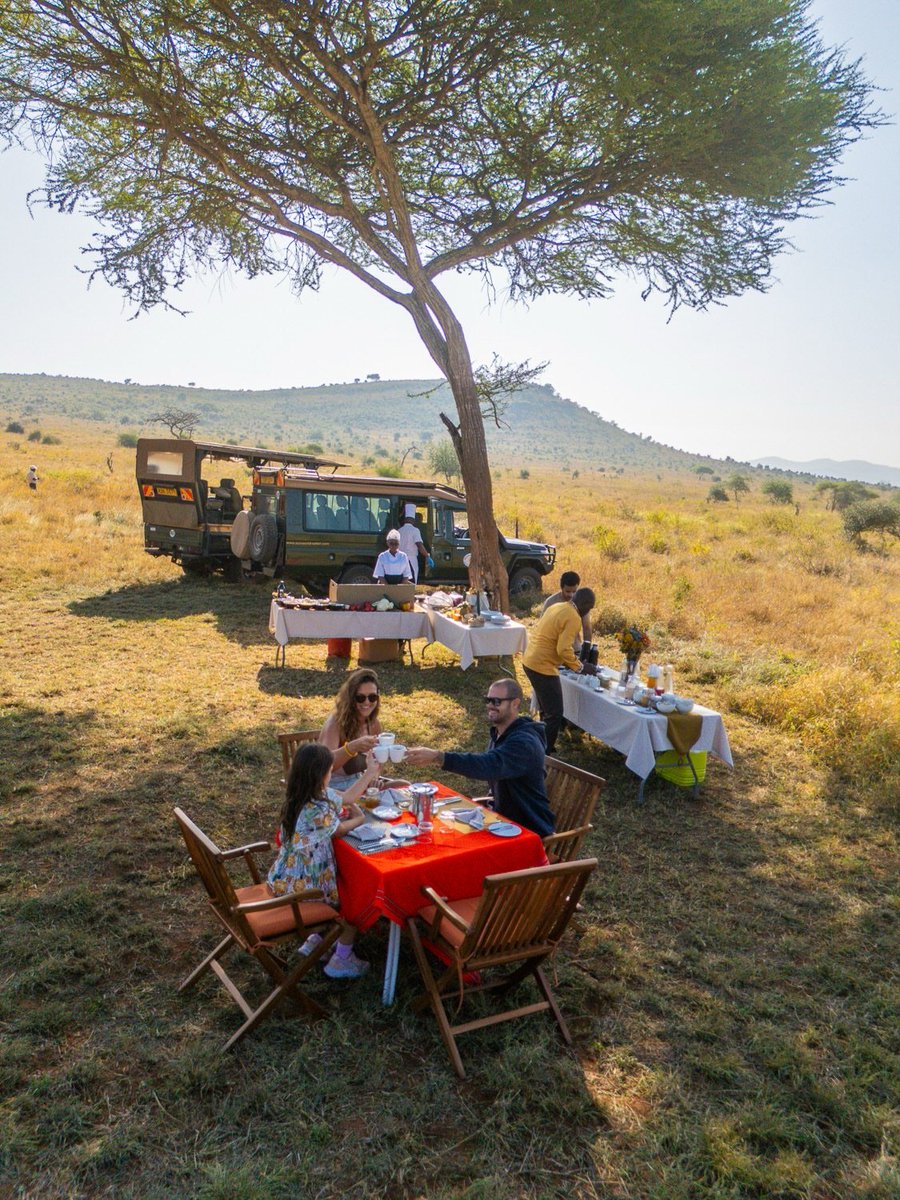 xtreme_republic's tweet photo. Breakfast with a view. 🌅

Crisp linens, warm tea, and a table set beneath an acacia at Soroi Lion's Bluff, savannah stretching out in every direction.
This is what a morning looks like when you travel with Xtreme Republic.

📩 Book your bush experience 
https://t.co/AcpNOGR9bZ https://t.co/roplQEXDqE