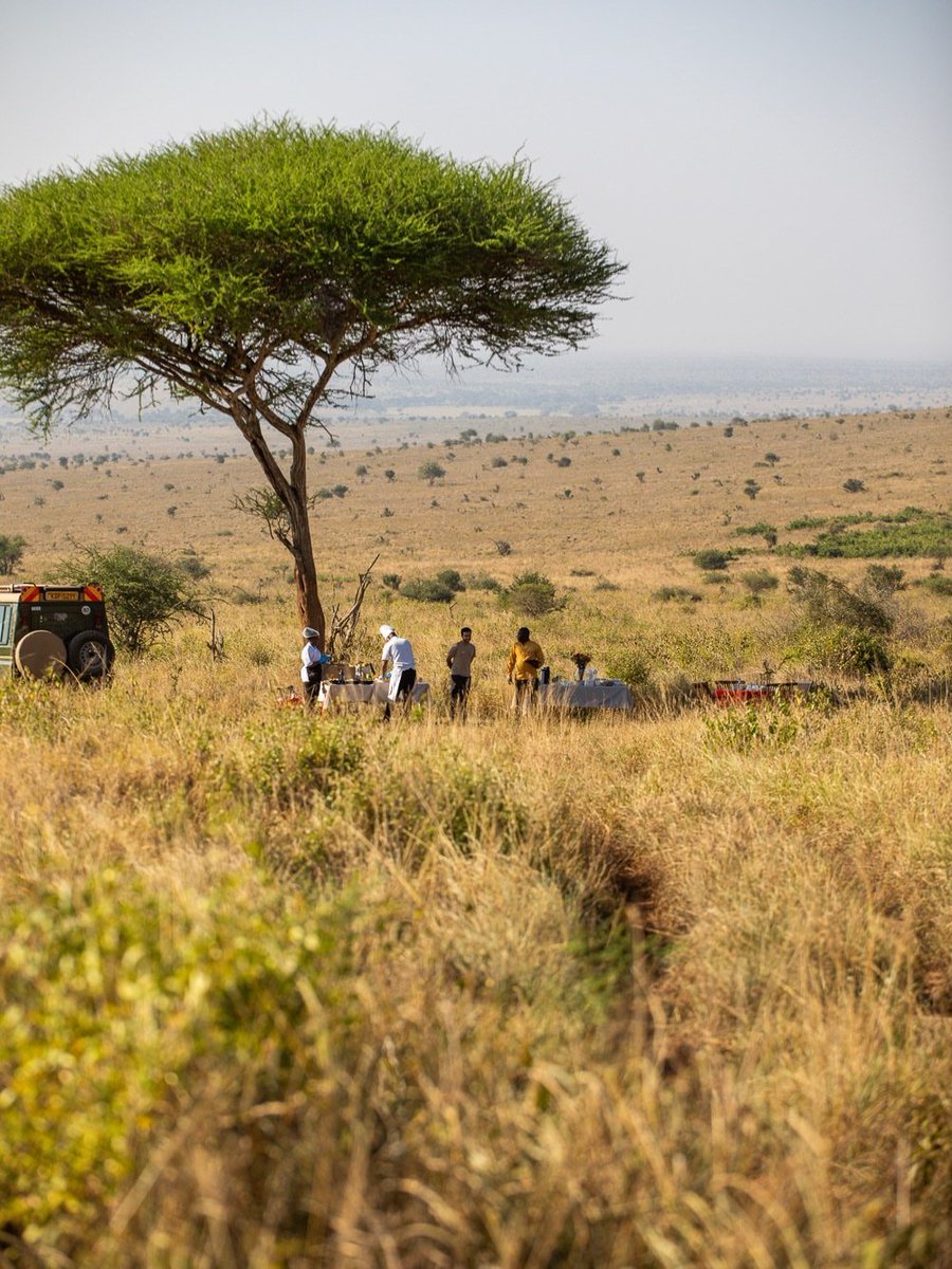 xtreme_republic's tweet photo. Breakfast with a view. 🌅

Crisp linens, warm tea, and a table set beneath an acacia at Soroi Lion's Bluff, savannah stretching out in every direction.
This is what a morning looks like when you travel with Xtreme Republic.

📩 Book your bush experience 
https://t.co/AcpNOGR9bZ https://t.co/roplQEXDqE