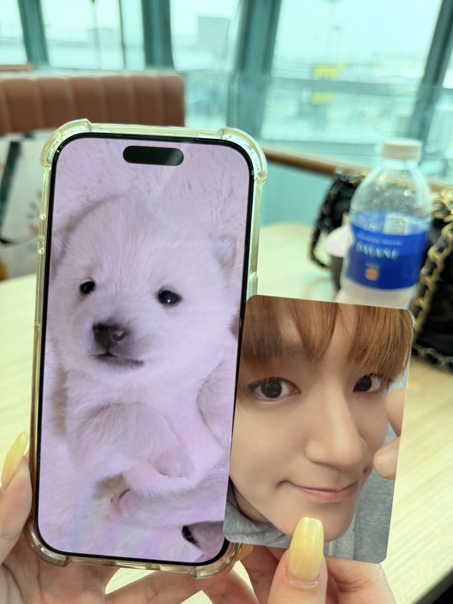 iimyoursnowy's tweet photo. แอคนั่นที่ชอบชงศิลปินเป็นหมาสั่งให้เรามาก https://t.co/2oOAh6Z24y