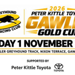 Photo by SA Greyhound Tips (@TheDogsSA)