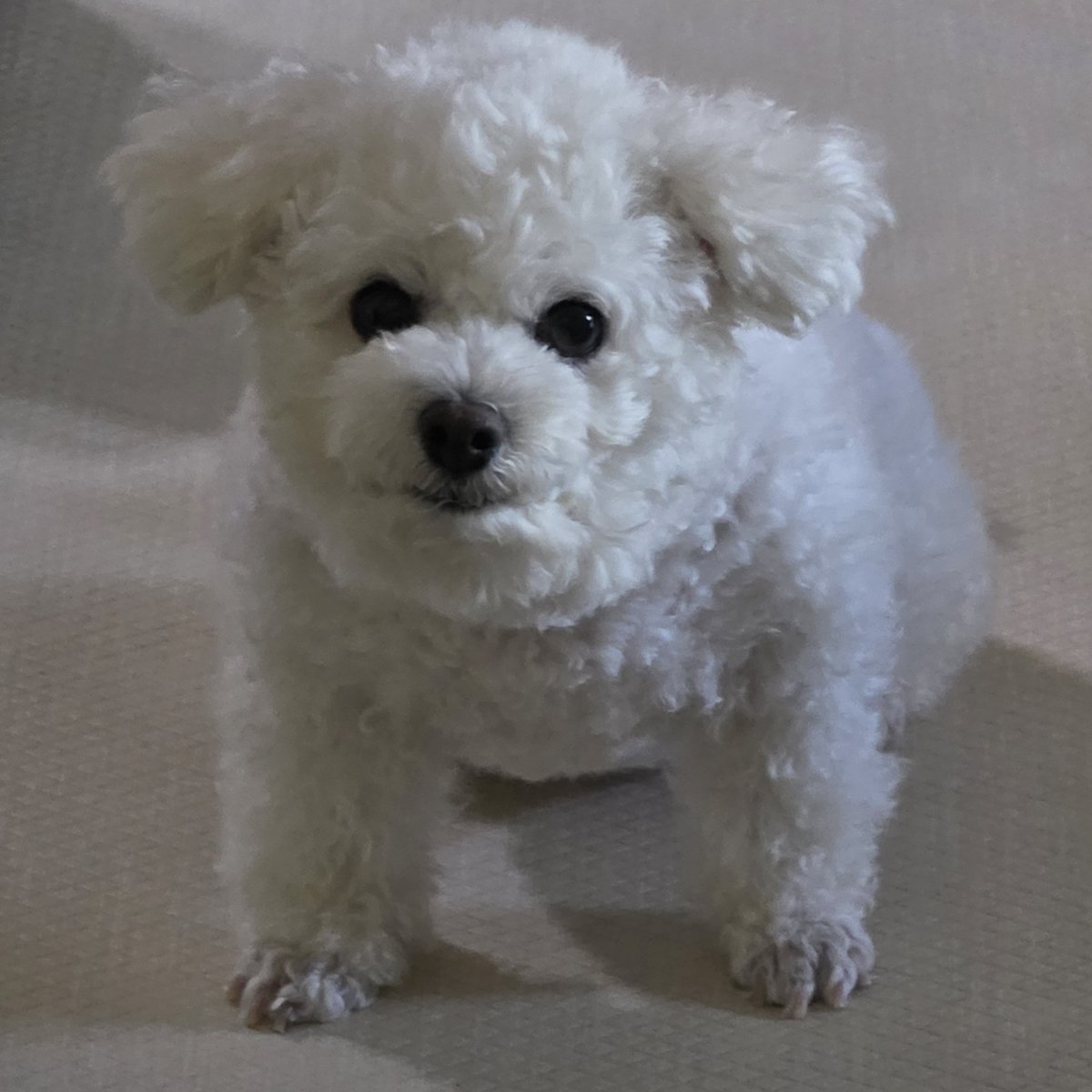 chapssal_240229's tweet photo. 반차쓰고왓더니 먼일이냐고 함 https://t.co/ZrjZWPwdSA