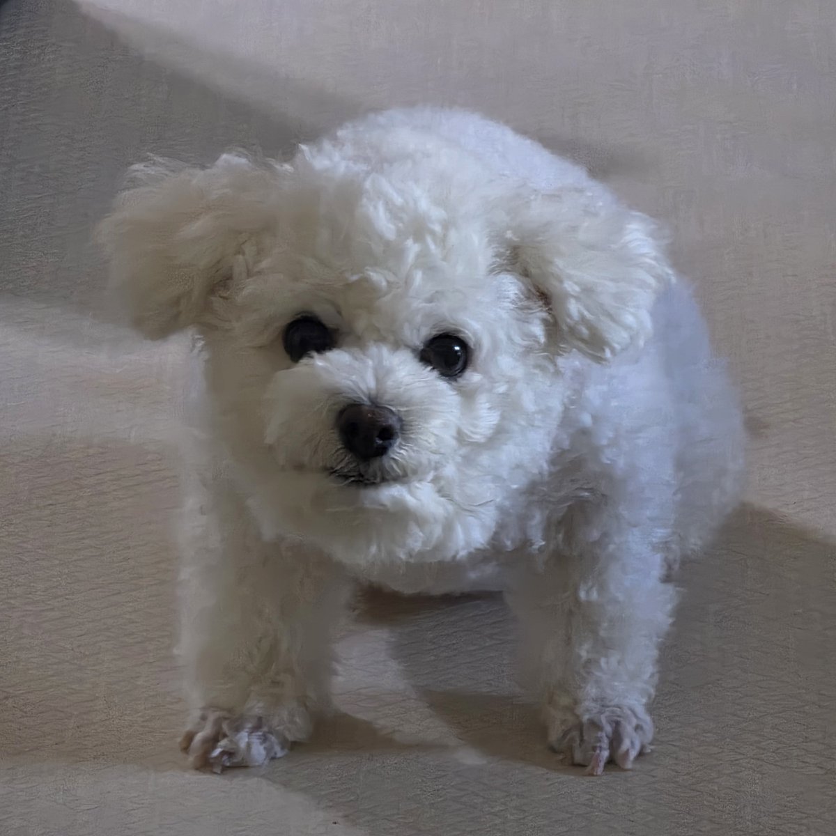 chapssal_240229's tweet photo. 반차쓰고왓더니 먼일이냐고 함 https://t.co/ZrjZWPwdSA