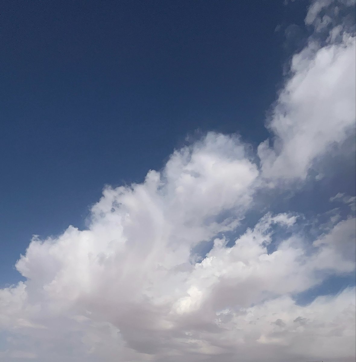21ja8's tweet photo. Monday being a nice day ☁️ https://t.co/ZfAThezGDO