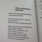 Photo by Куртуазна історикиня (@GirlMedieval)