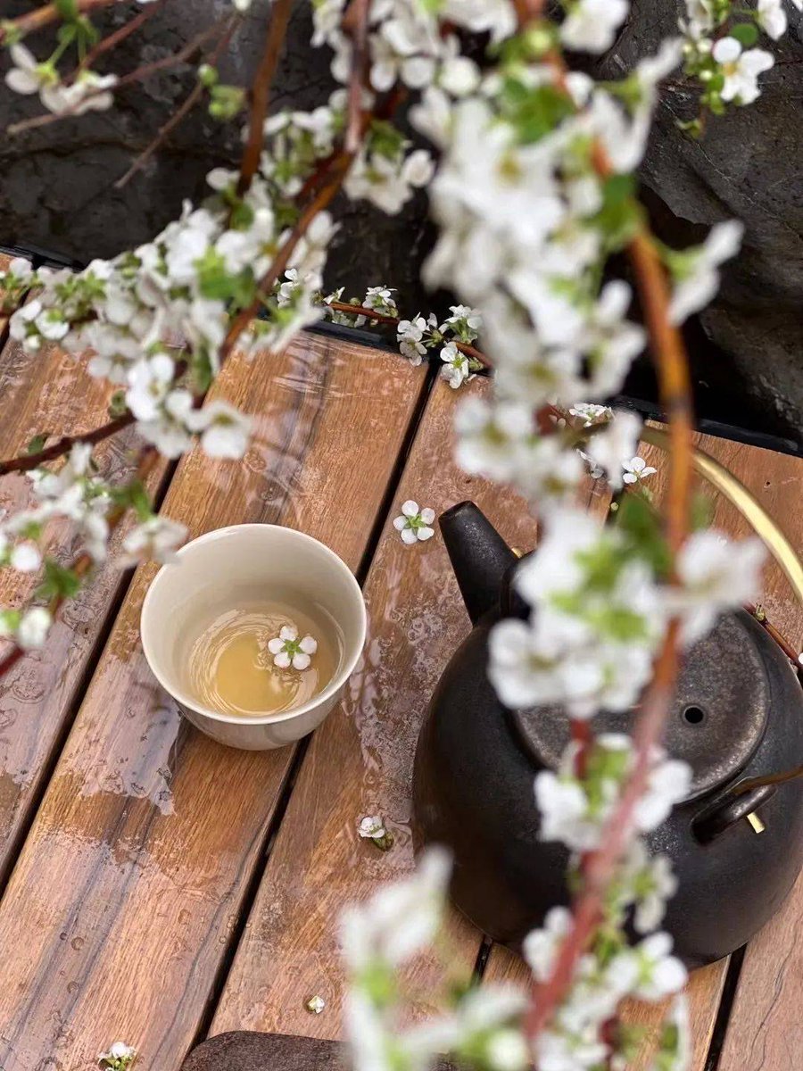 A390_sm's tweet photo. [梅の花が咲く季節、一息ついて日本茶を楽しむのは最高ですね。春の訪れを感じながら、ゆったりとした時間を過ごしましょう。]， https://t.co/4NGQF6PUXL