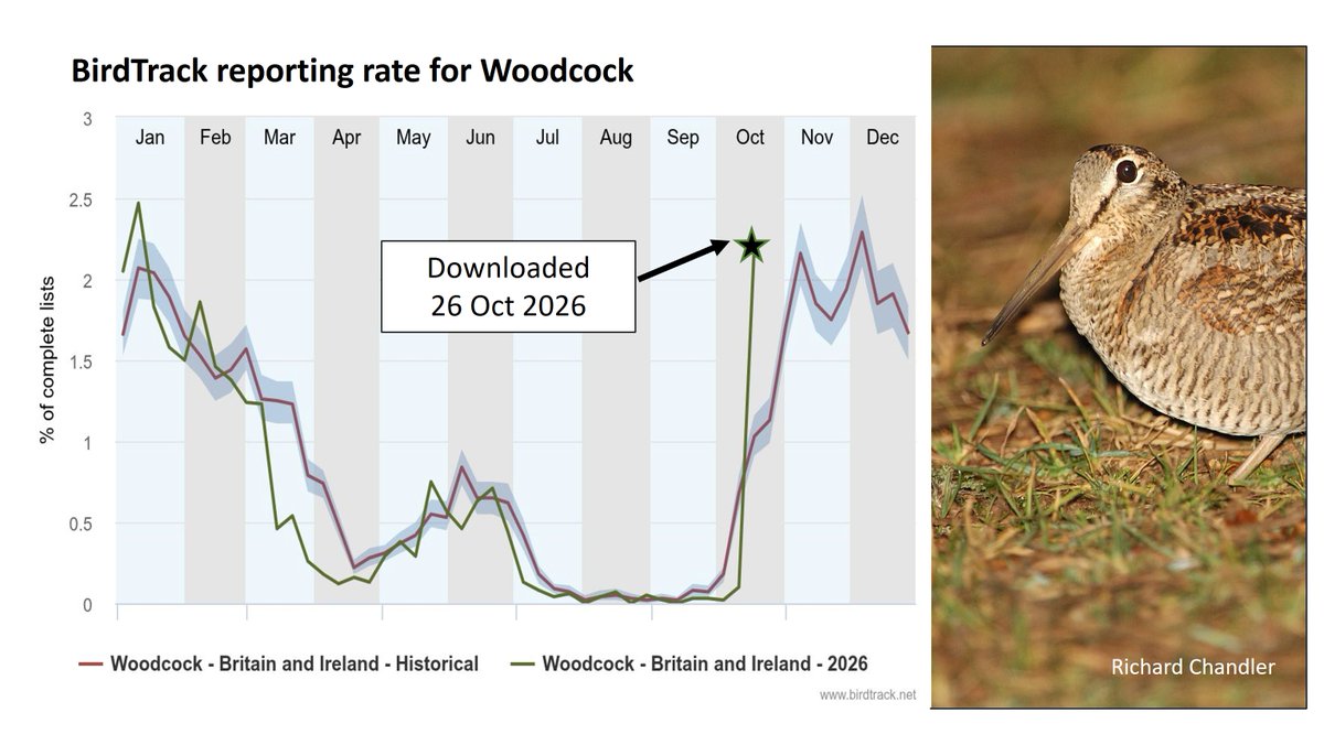 GrahamFAppleton's tweet photo. Big jump in Woodcock observations on @BirdTrack  this week.
New arrivals will melt into the British &amp; Irish landscape, feeding at night in fields and woodland.
Lots more birds still to come, I reckon.
More here:
https://t.co/LcdpRgIacT
#ornithology https://t.co/7X8qgQZs23