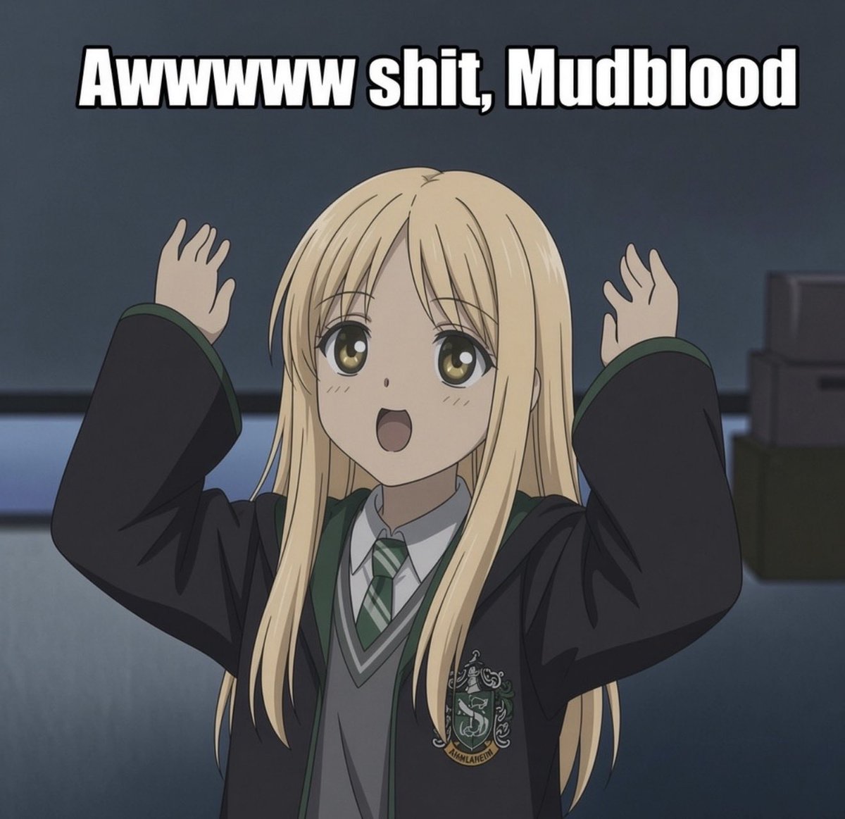 _Malfoid_'s tweet photo. Awwwwww shit, Mudblood

#harrypotter #malfoid #dracomalfoy https://t.co/wpdSr92d3B