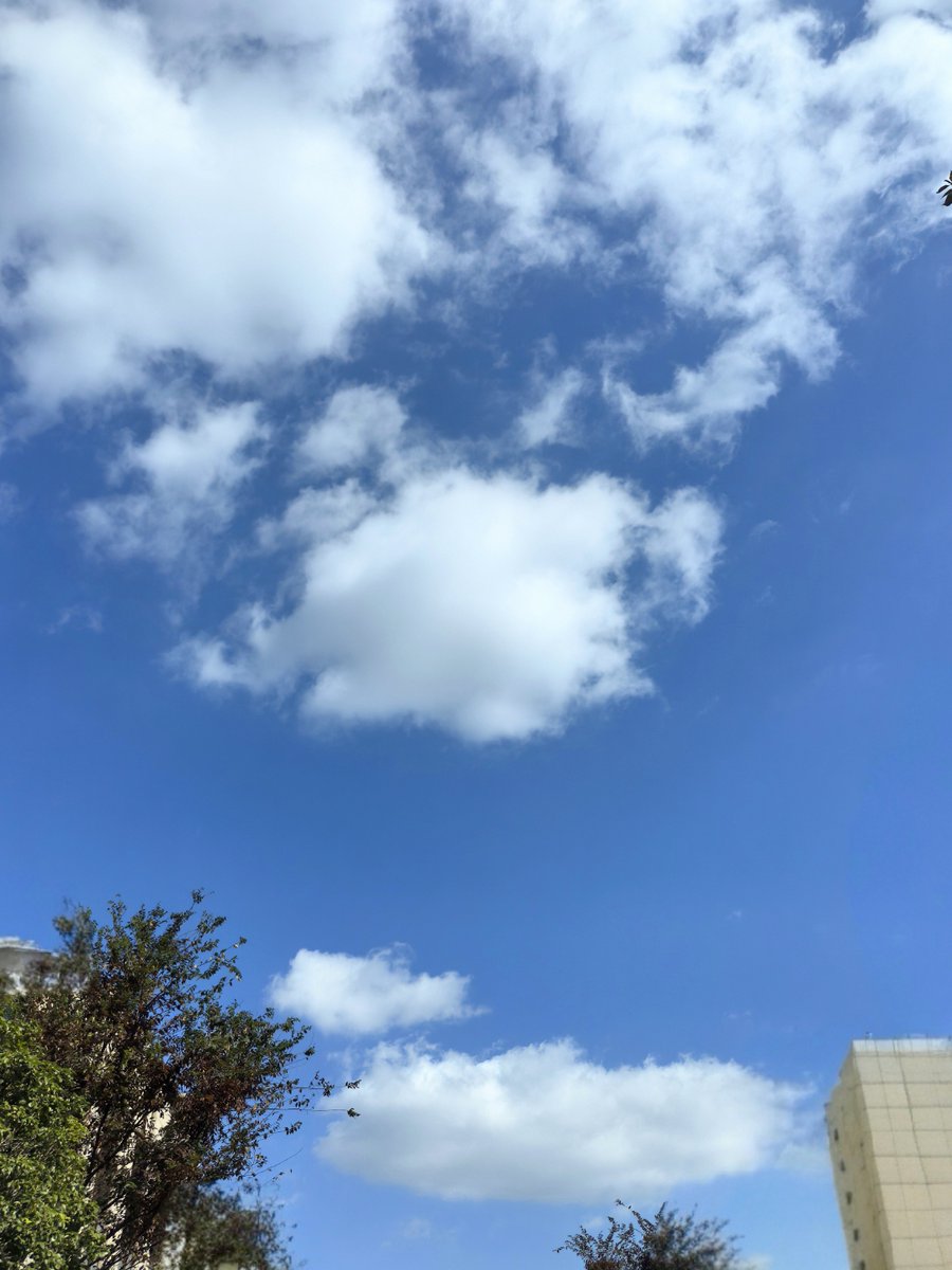 aaacce111335's tweet photo. [目が覚めたら、辽远な空が広がってた！朝の爽やかさが最高だね]， https://t.co/WYGwRJwwuI