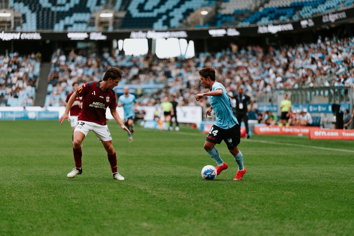 SydneyFC's tweet photo. Sunday sessions with a side of pelicans ✊ https://t.co/ERraMxBHk1