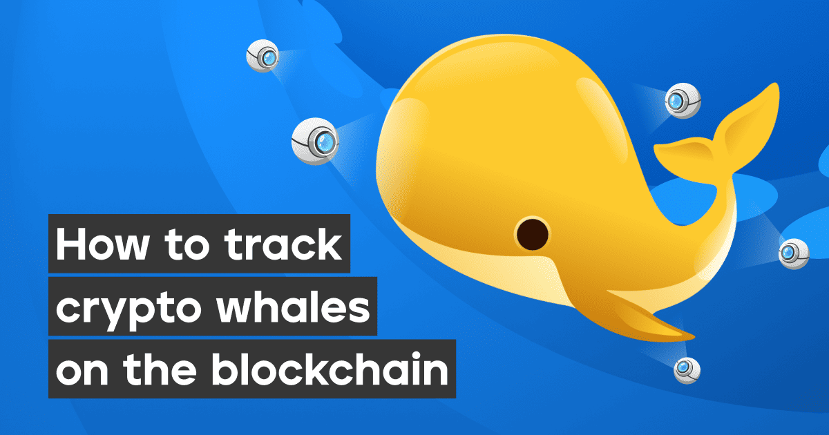 OctoBrowser's tweet photo. #Crypto whales rarely trade at random, and every move is visible on the blockchain. But a big transaction alone tells you little. Our new article explains how to build a whale-tracking system and which tools to use at each stage.

https://t.co/cgsZRuEV5f https://t.co/y2mlhcWIWs