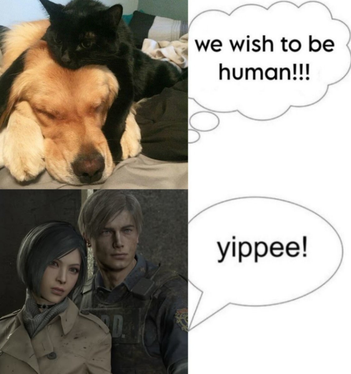 stygian2nymph's tweet photo. https://t.co/XdIHczuz0b