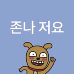 Photo by 파래질려다만포크(구 카이론 강스포) (@YesImfork)