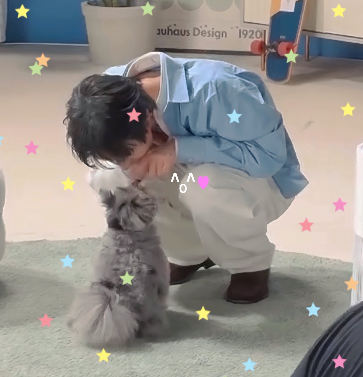 honeytenl's tweet photo. น่ารักมากๆๆเยยยย 🤲🏻💭🐱💗🐶 https://t.co/BdZvrpcfrY