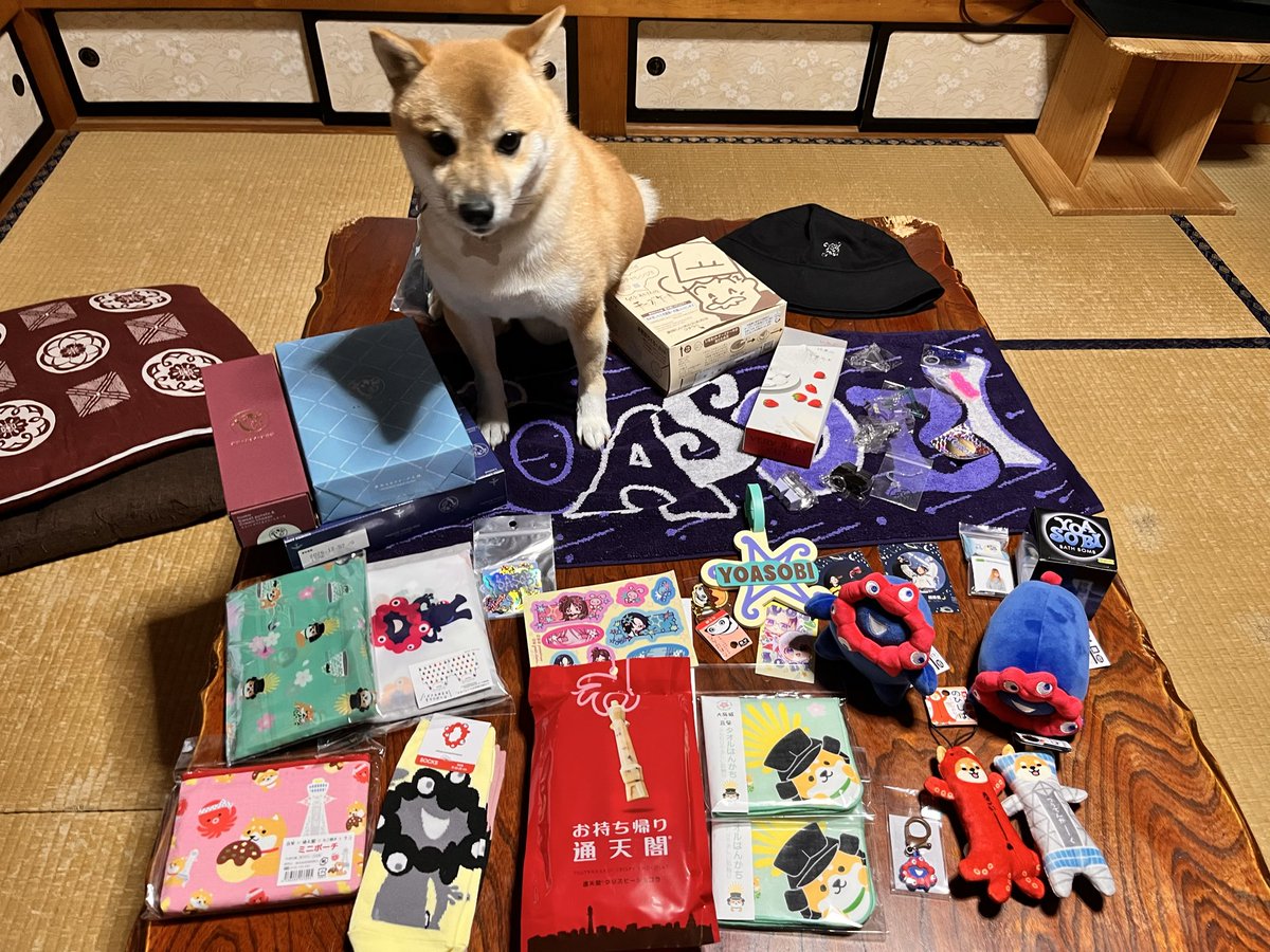 hideyoasobi's tweet photo. 無事お家に帰ってきました〜！！！

大阪公演＆旅行楽しかった

会いたい人に会えて行きたいところに行けたそんな遠征でした✨️

 #YOASOBI_超惑星 https://t.co/m2fvxfWczT