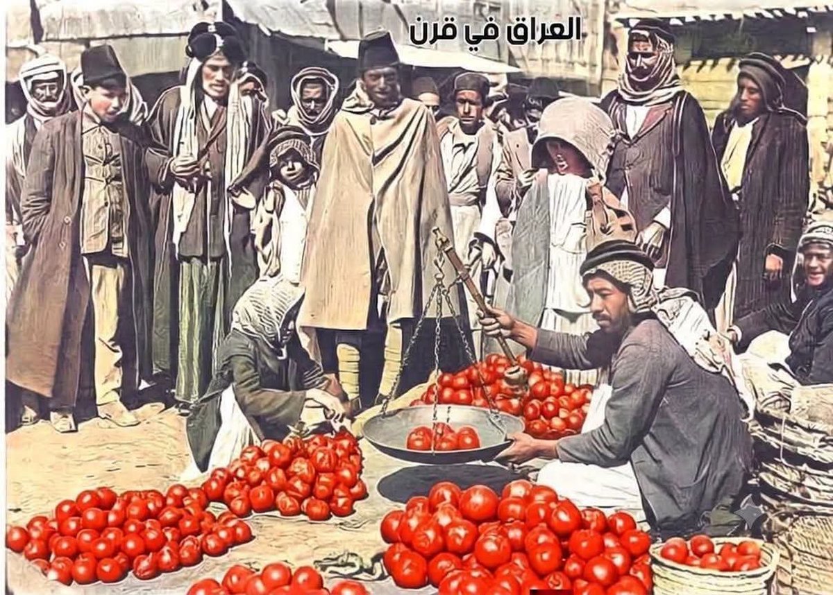 ShwqAlyasmyn's tweet photo. أول من أدخل الطماطة للعراق هو الإحتلال الإنگليزي لبغداد عام 1917 وكانت المرقة قبلها تكون مع الكركم أو مع دبس الرمان وكان العراقيون يطلقون عليها إسم البرتقال الإنگليزي وبدأت زراعتها في بعقوبة ومندلي عام 1920 ثم بدأت تنتشر تدريجياً في العراق وأصل زراعتها في أمريكا الجنوبية تم https://t.co/FUC3mWmGxQ