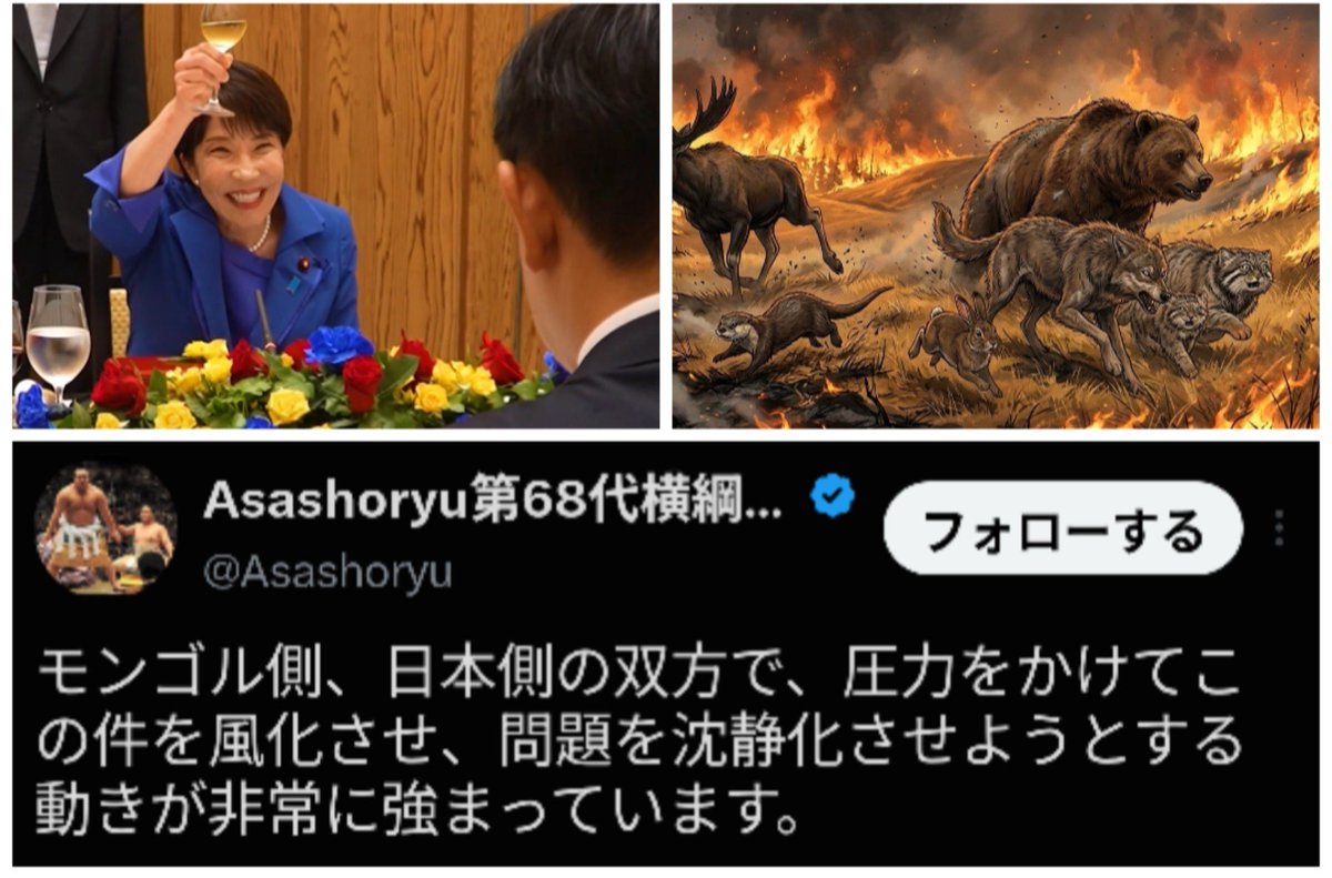 Donpach_gon's tweet photo. A Japanese perpetrator caused a fire in a nature reserve. Takaichi offered a vulgar toast to the Prime Minister of Mongolia. The talk of "friendship" is a lie. The Japanese government has provided zero support—all they have done is exert pressure to cover the incident up. https://t.co/XU7lEeE62L