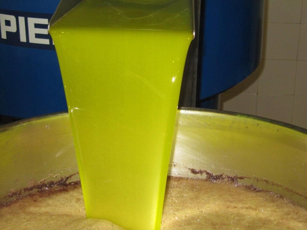 asajajaen's tweet photo. 🟢 Actualizamos los datos del precio del aceite de oliva y salidas semanales según Poolred. Consulta el informe completo en nuestro enlace y cuéntanos tu opinión 👇
https://t.co/BLad5xNhlq
#AceiteDeOliva #Precios #ASAJAJaén #Agricultura #Poolred https://t.co/fEgpU3ZIHA