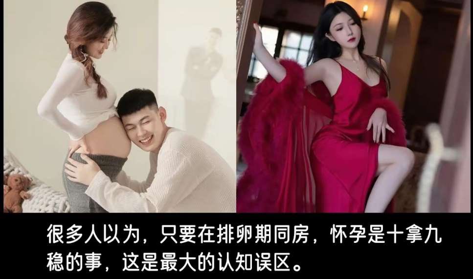 Block_Club1's tweet photo. 排卵期同房一次怀上的概率到底有多低？ https://t.co/j2sQtqzb2c