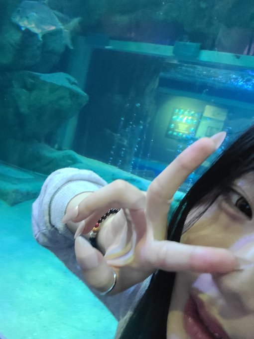 KAZ_NIKE's tweet photo. 해떠있는 대낮부터 자위하기~ 존나 쑤셔
#마조 #교복 #얼싸 #담배 https://t.co/lujmlHTqhf